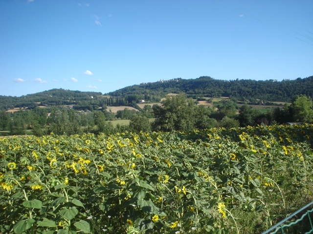 Panorami da Piscina