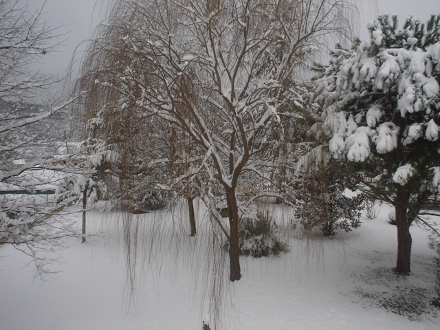 NEVE IN AGRITURISMO