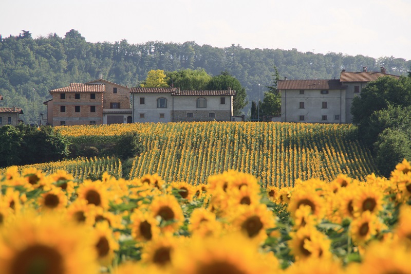 Agriturismo vista da pianura