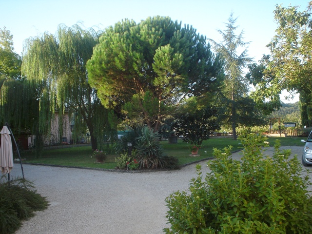 Giardino