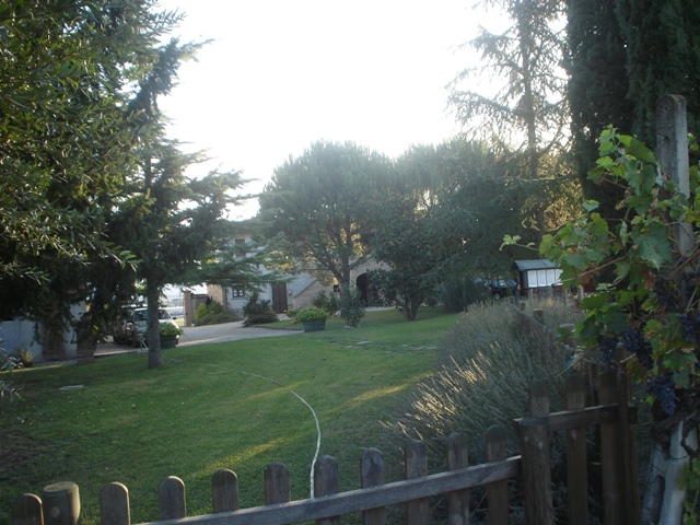 Giardino